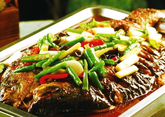 加盟一家烤魚店的條件是什么？