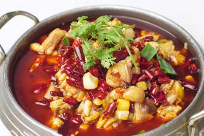  餐飲項目有什么，火鍋雞技術培訓哪里好？